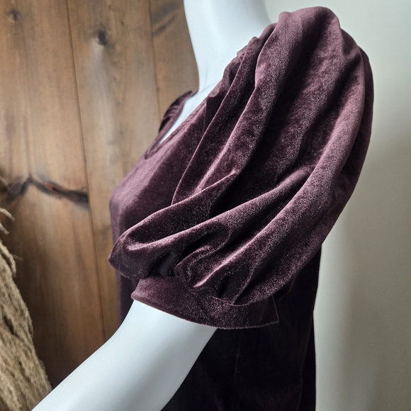 NWT Maurice's Velvet Short Puffy Sleeve Scoop Neck Top - Picture 8 of 14